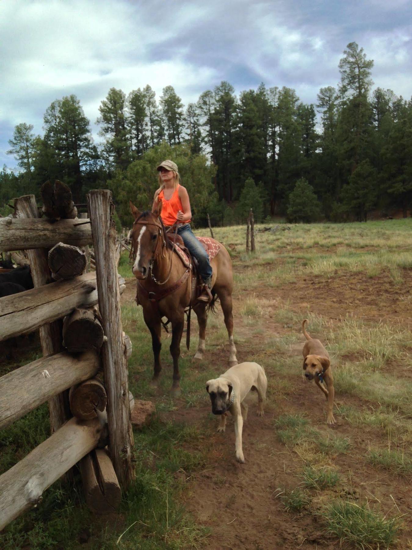 Grand Canyon Ranch & Outfitters Ξενοδοχείο Fredonia Εξωτερικό φωτογραφία