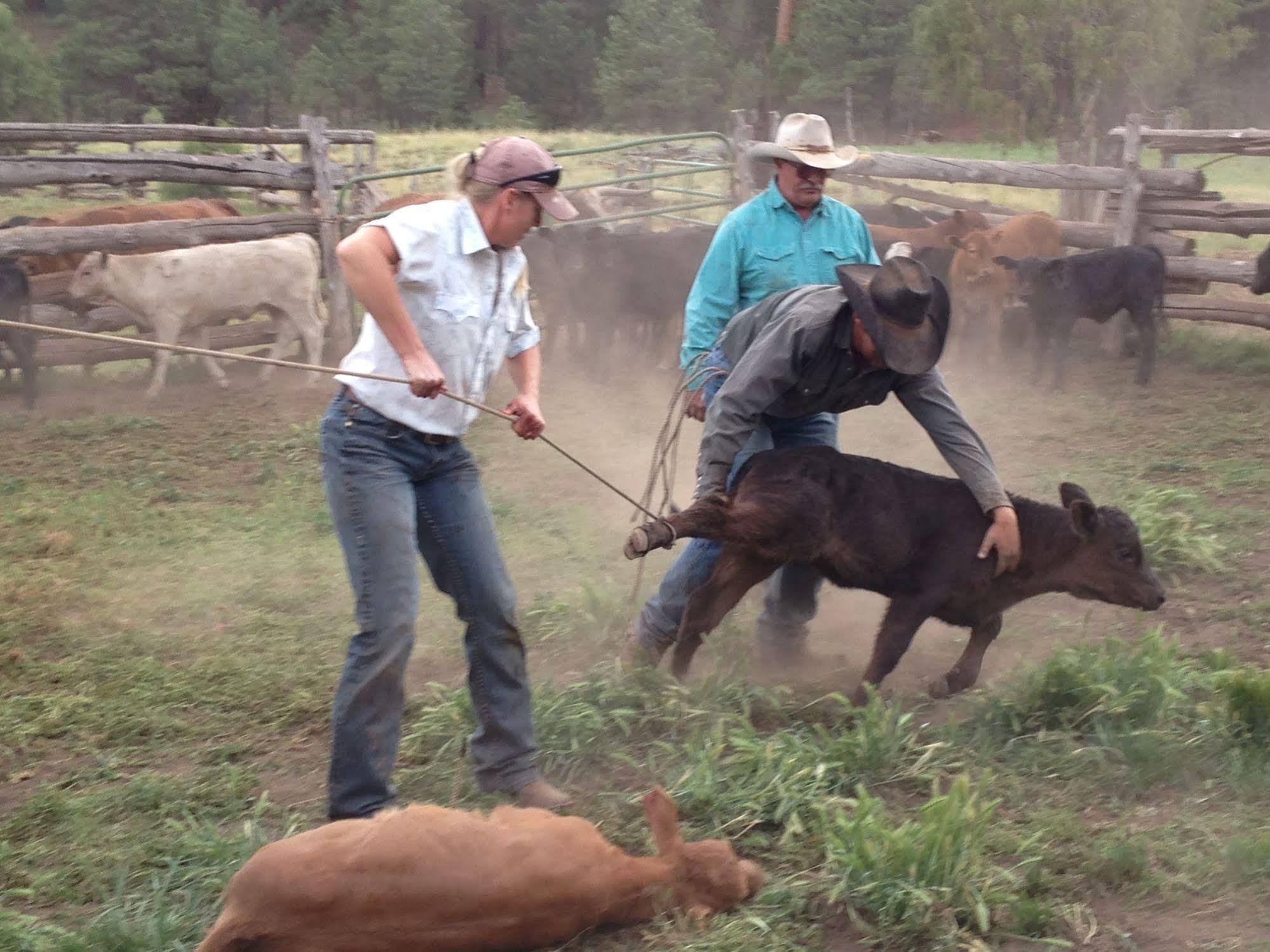 Grand Canyon Ranch & Outfitters Ξενοδοχείο Fredonia Εξωτερικό φωτογραφία
