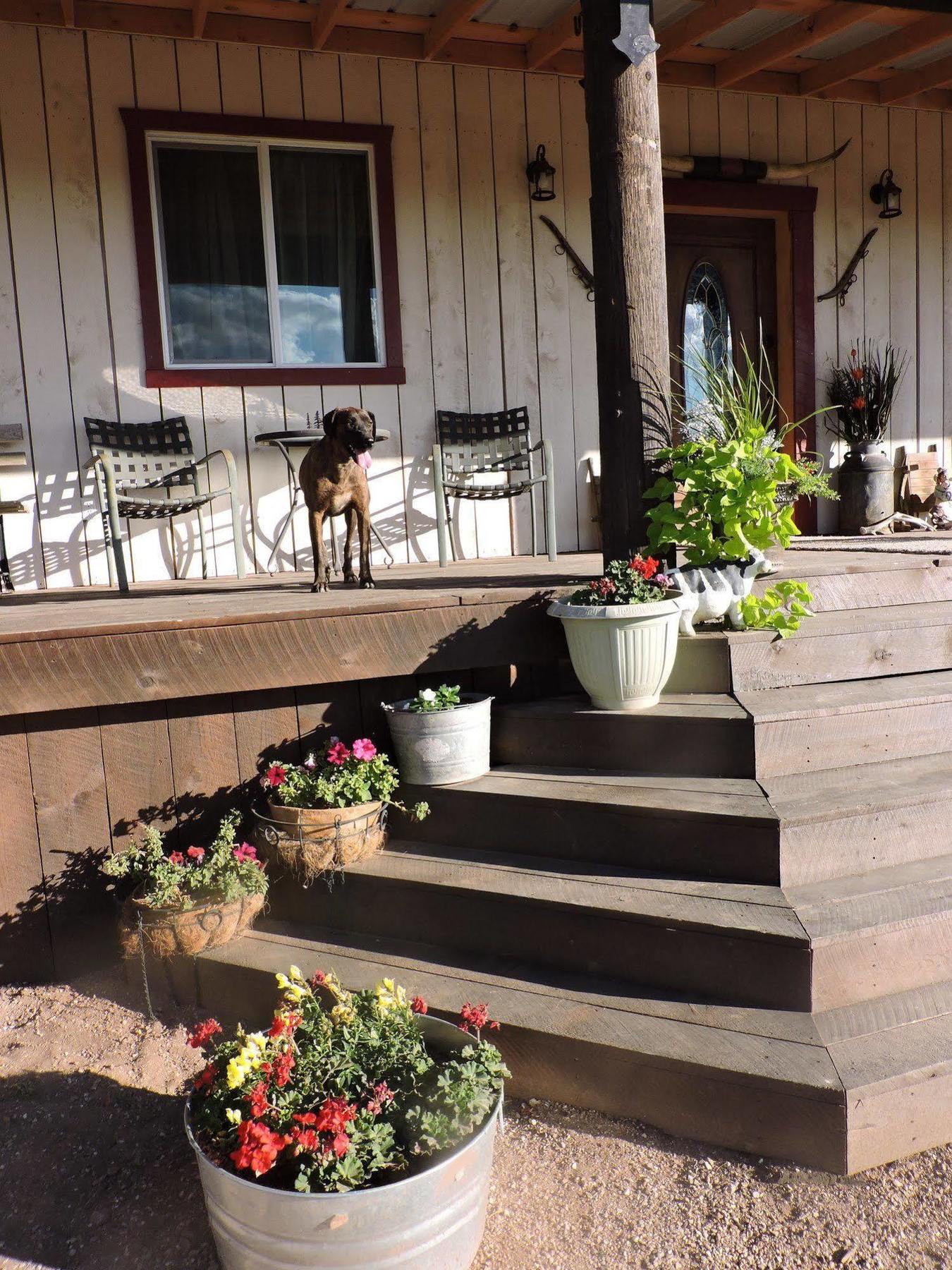 Grand Canyon Ranch & Outfitters Ξενοδοχείο Fredonia Εξωτερικό φωτογραφία